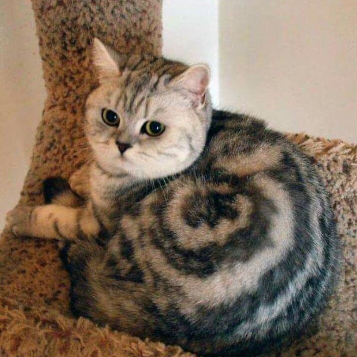 d5214c5eff85cee7523a784b03