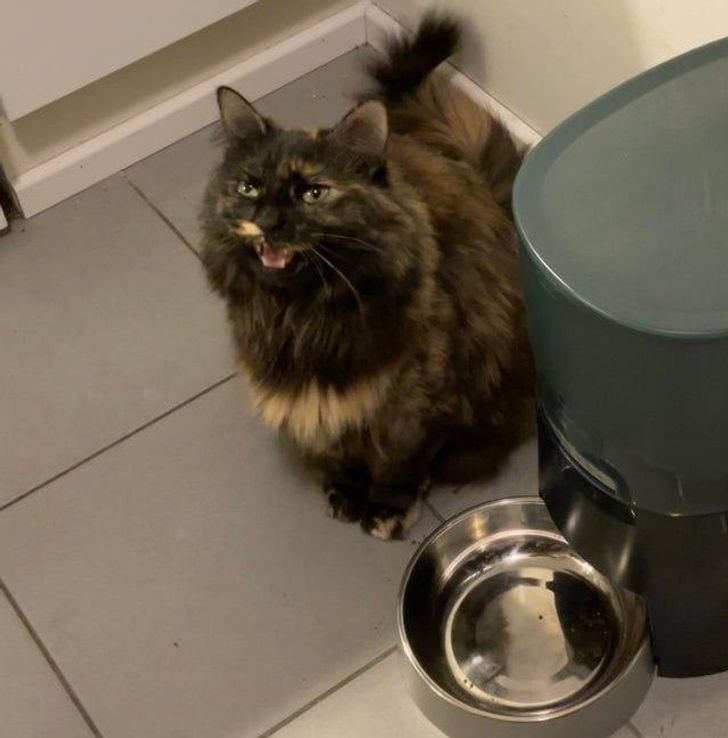 d528295f958df11f9fc123a579