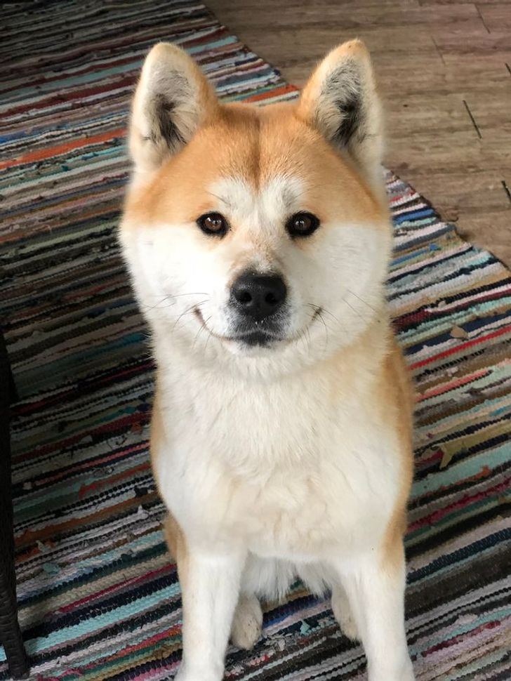 d530bb5a27ae24705f7eca68fd