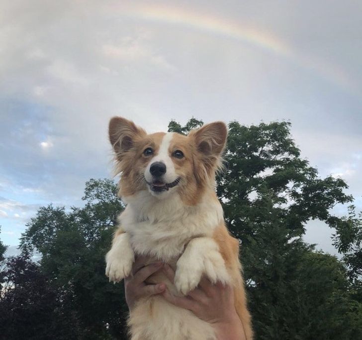 d53109554cae9014499e16cb84