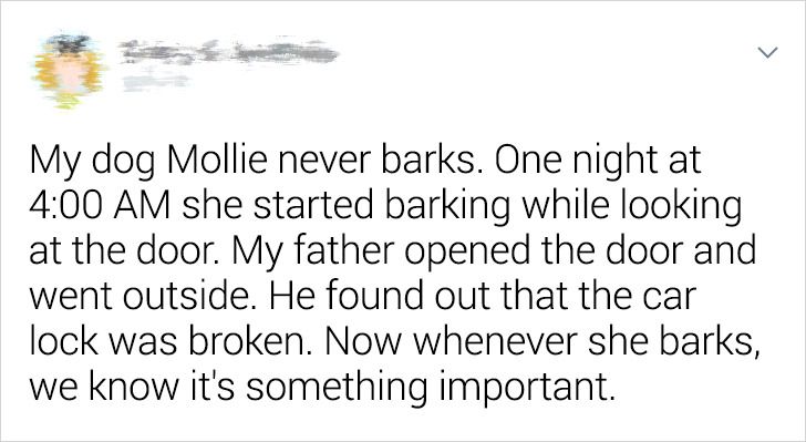 d5359355b783bb654665ac1f23