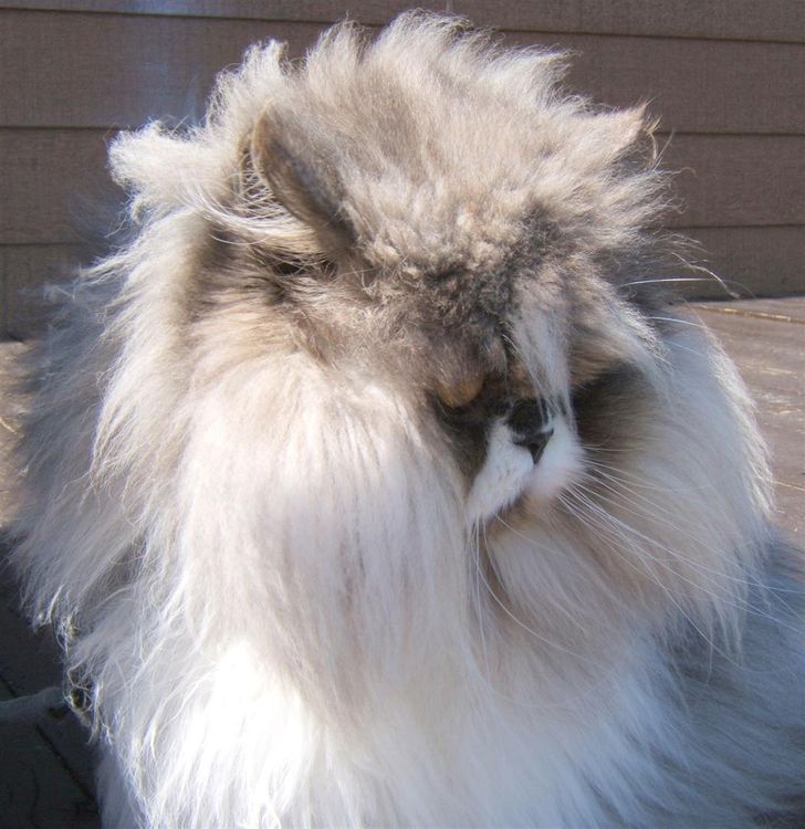 d53ba05043981d19ccb7972f43