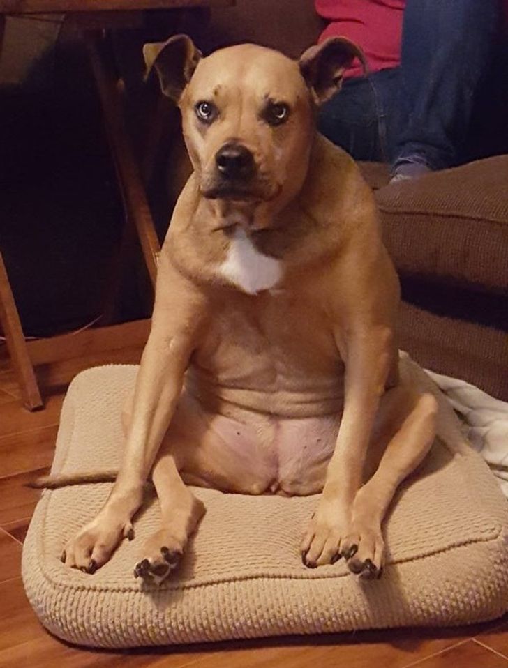 d540b75cea99e00e967b985c9e