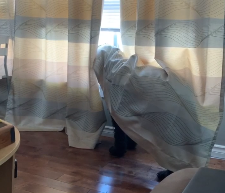 d5448c5e848dd9201030c8bf89