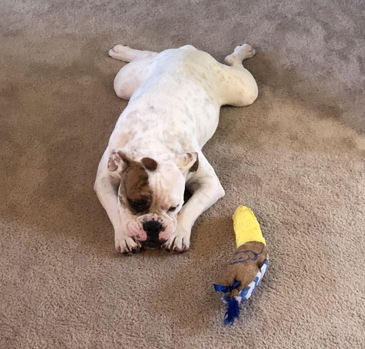 d546f85c09b584e278e7acbc05