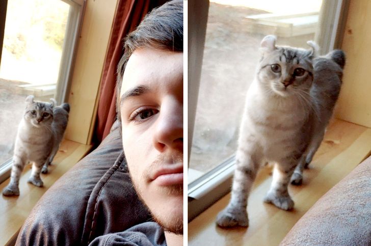 d54b105c9e88a3ad6985d45c22