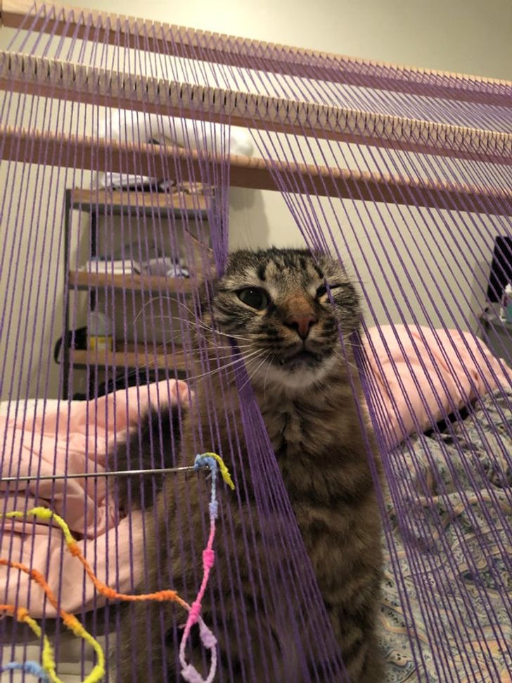 d55cfc5315878d3d0491905f7f