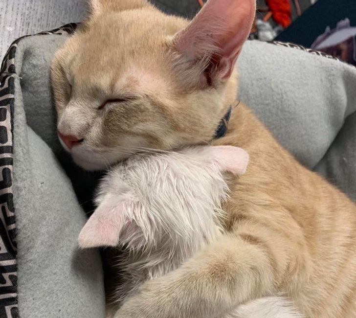 d55d96562b8ad6127609094aa5