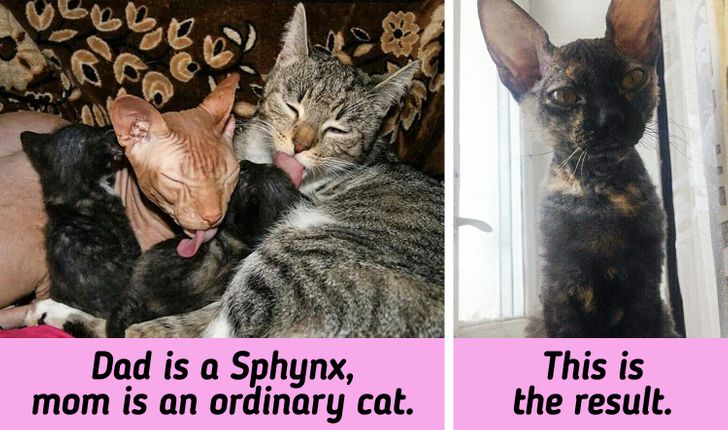 d55f415cf3a8b08361ca8acf76