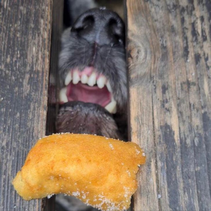 d562aa5d9ab7880978785b958e