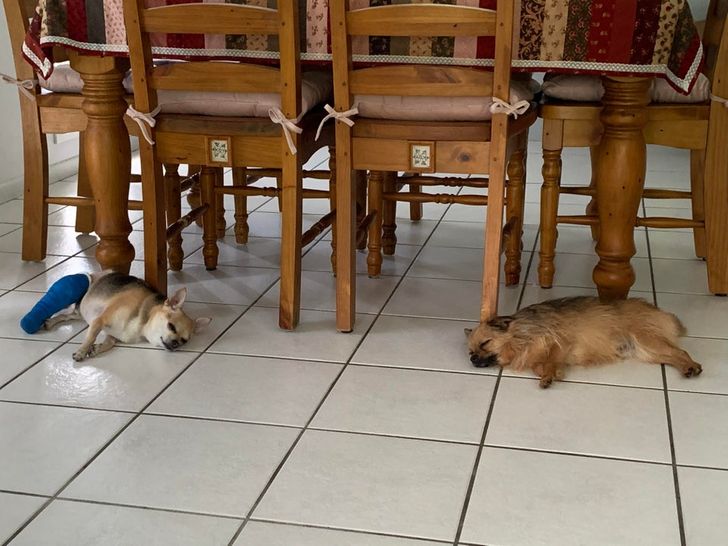 d5666059eb8c2b7756f5ee4ba0 d5666059eb8c2b7756f5ee4ba0