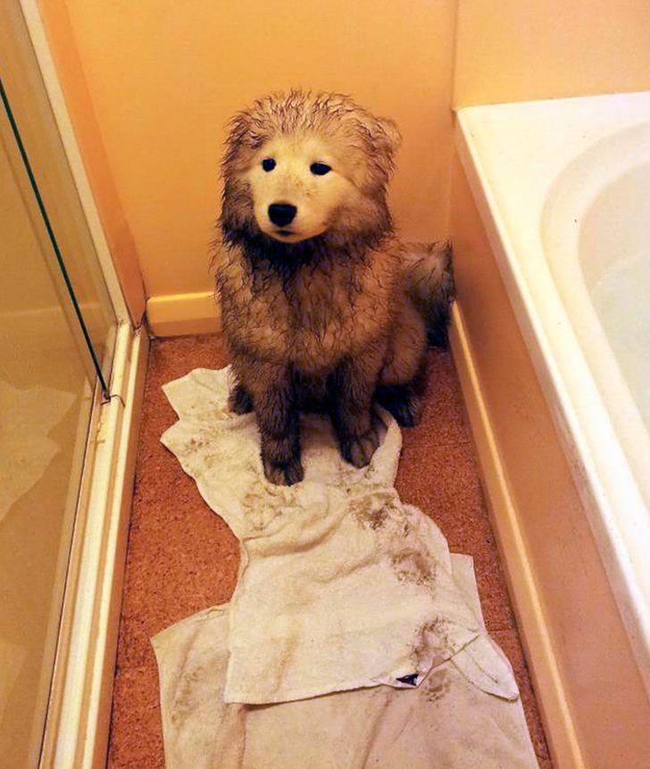 d56a645bbfb6d092e3ca9d7242