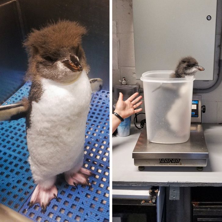 d5720050028b9bb59d1c226f36