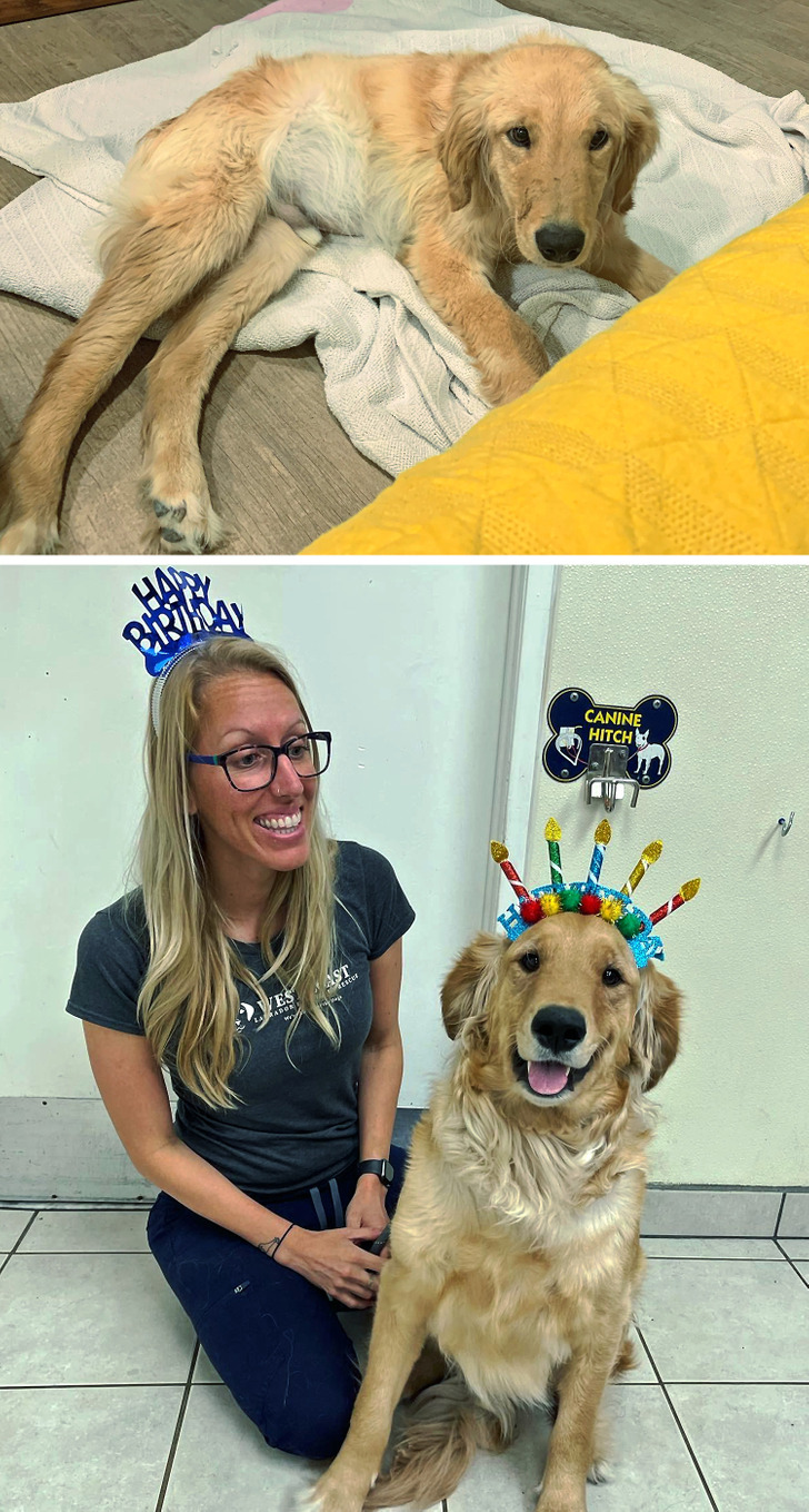 d575145163be021aa72666d279