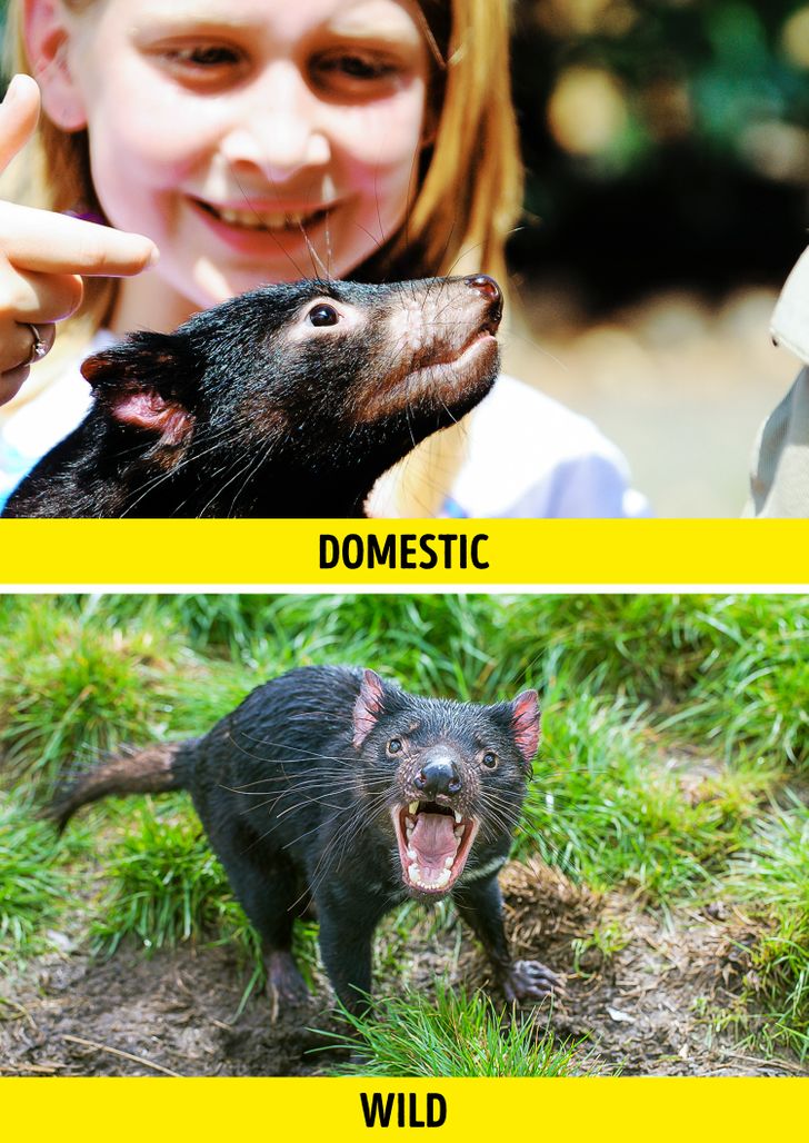 d5793a527685c2e983f48151af