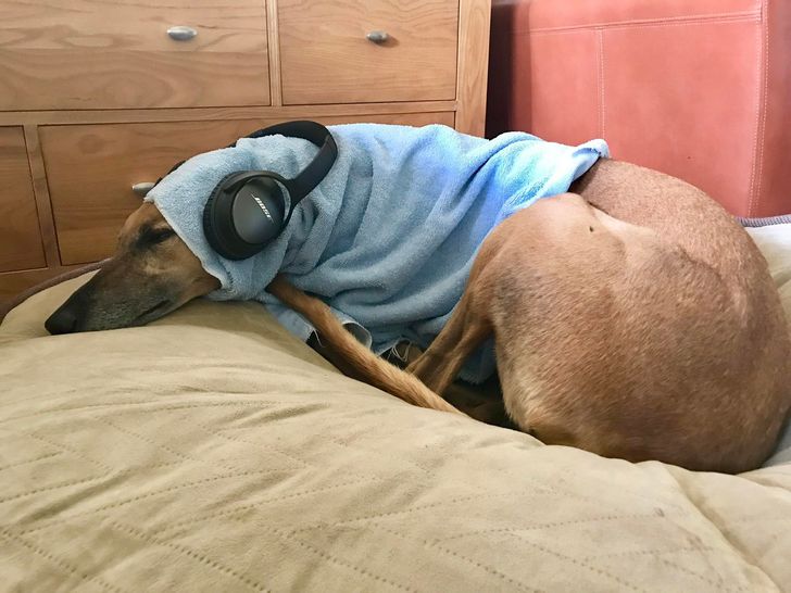 d5879c567da5f0fe28dcc4f587