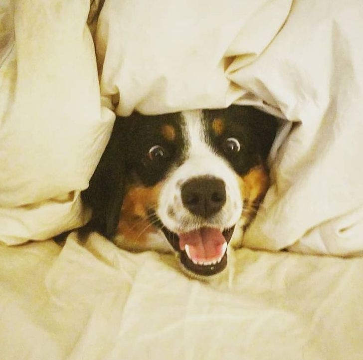 d587d0598aaa6cd7a9cadd11e4