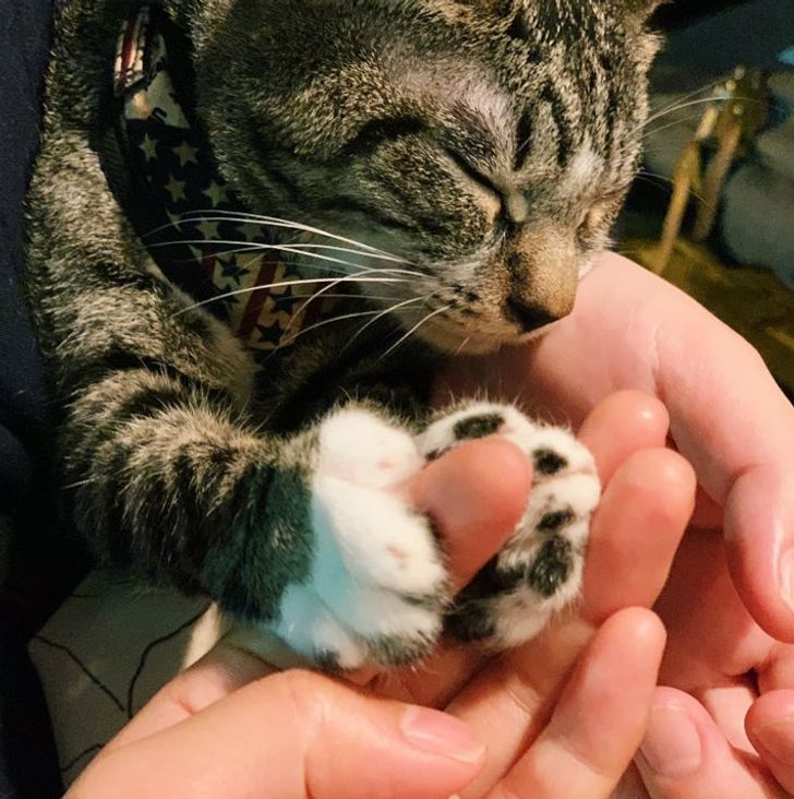 d58a5255cb88af892d54eaac2b