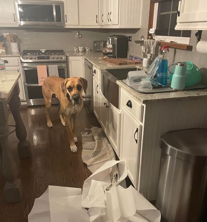 d58eb0505cbe3e70e1c6aabaf5