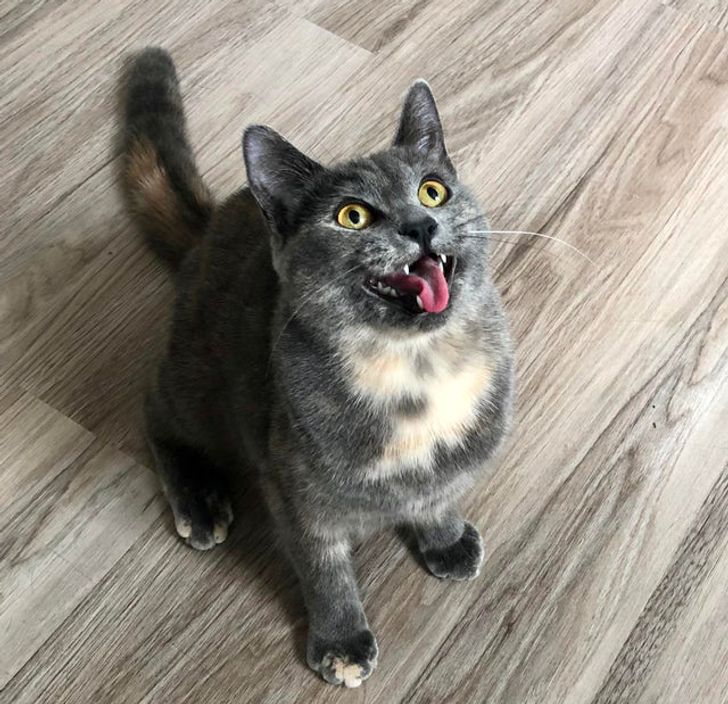 d596535bdbace5a7efdf512374