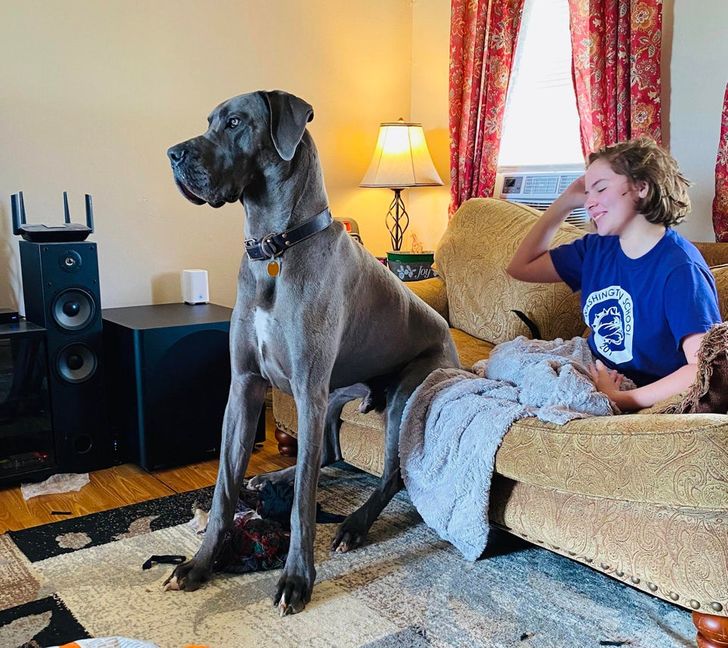 d5986c5b4288493237b02ed888