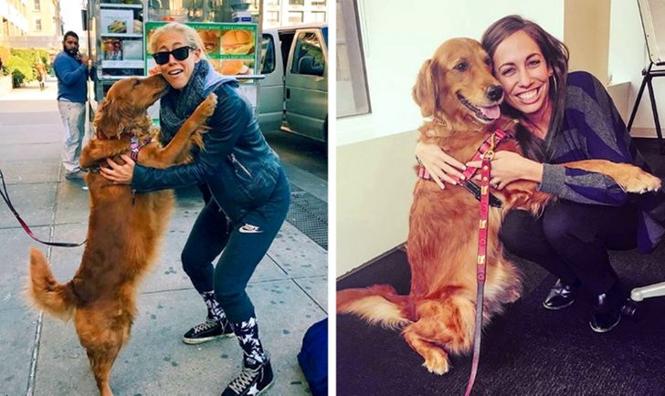 d5a03d50f9b98879f3ada627c4