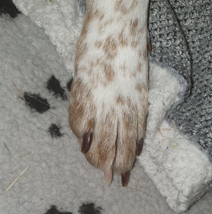 d5a0e05cdfa39c27c7f34e2f00