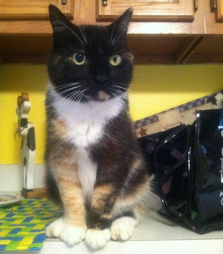 d5aefd510fa3314ceb5cf94944