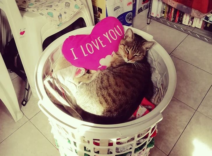 d5b49652c9a674ae4a82345b15