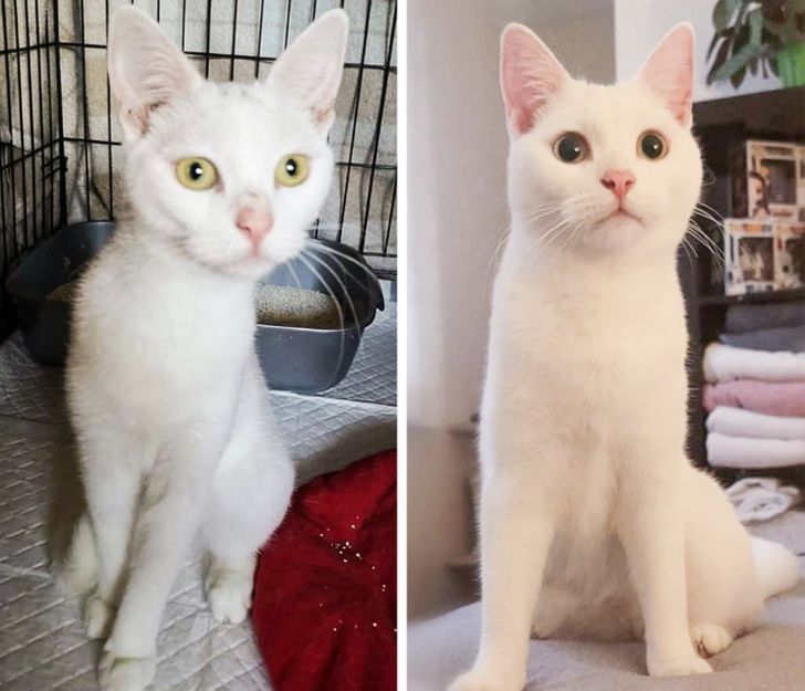 d5b5655c3f8c5680a3d46579d4