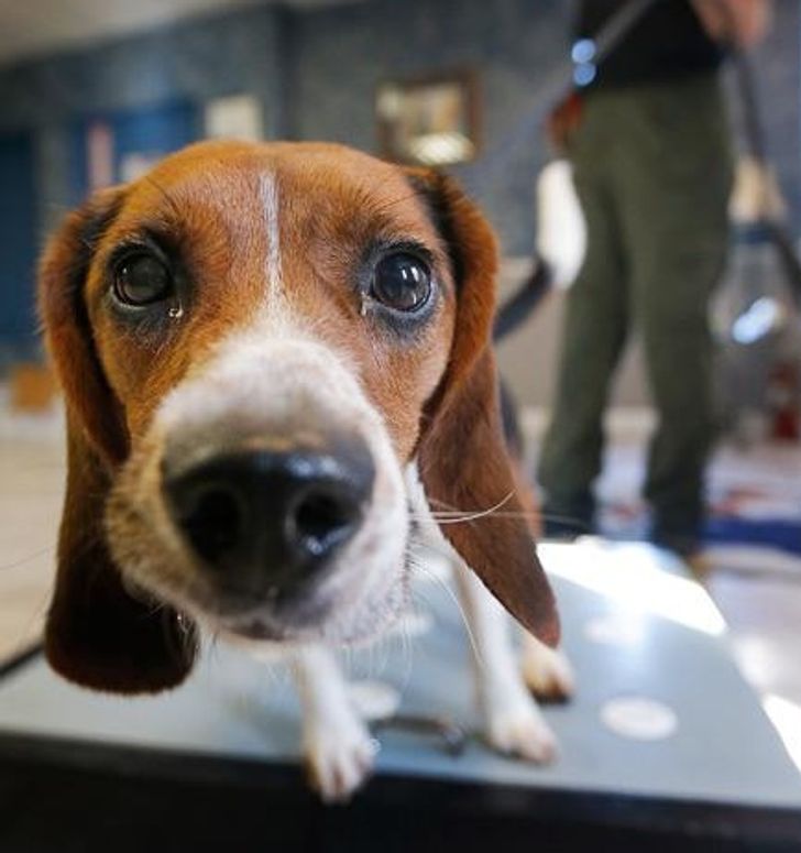 d5bede57aba8a7839d3ffb94dd