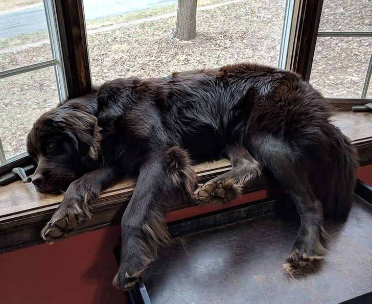 d5c0715a7dbe16f4f932fbd38a