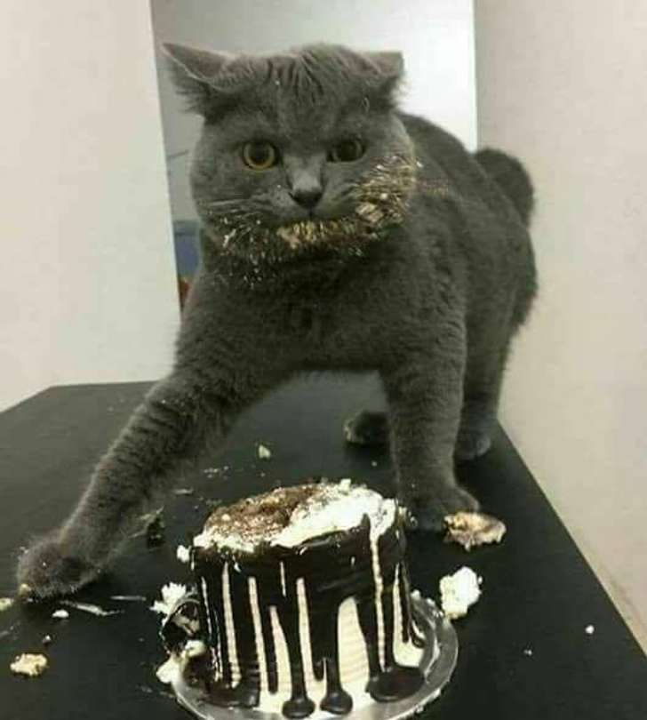 d5ca4953a78bfd5873cb2c692d