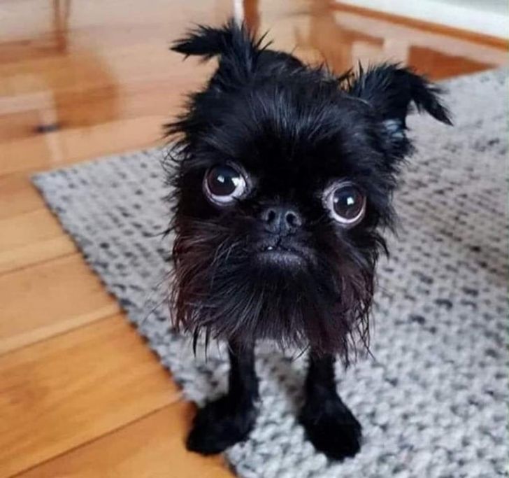 d5cf2f5f069fb0d5600a9267aa