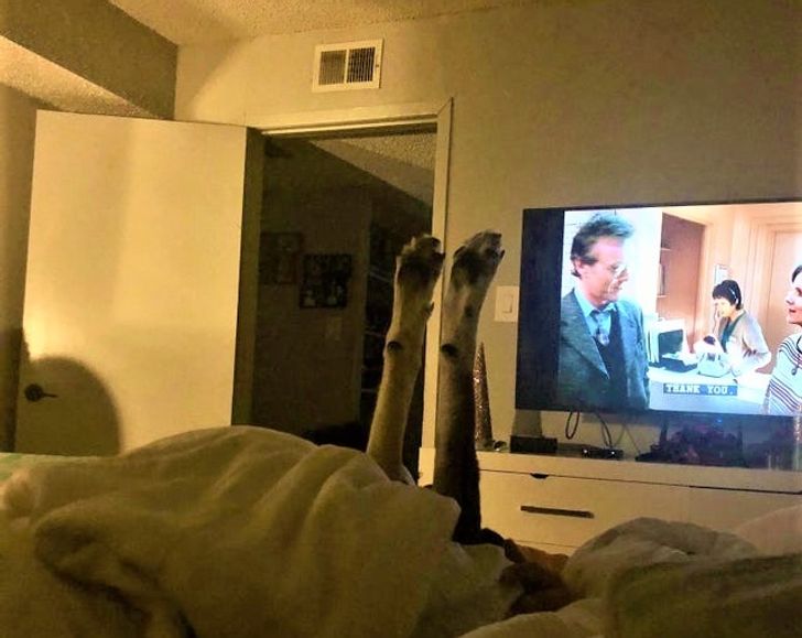 d5d62e531cbdf4a36b15fdefd8