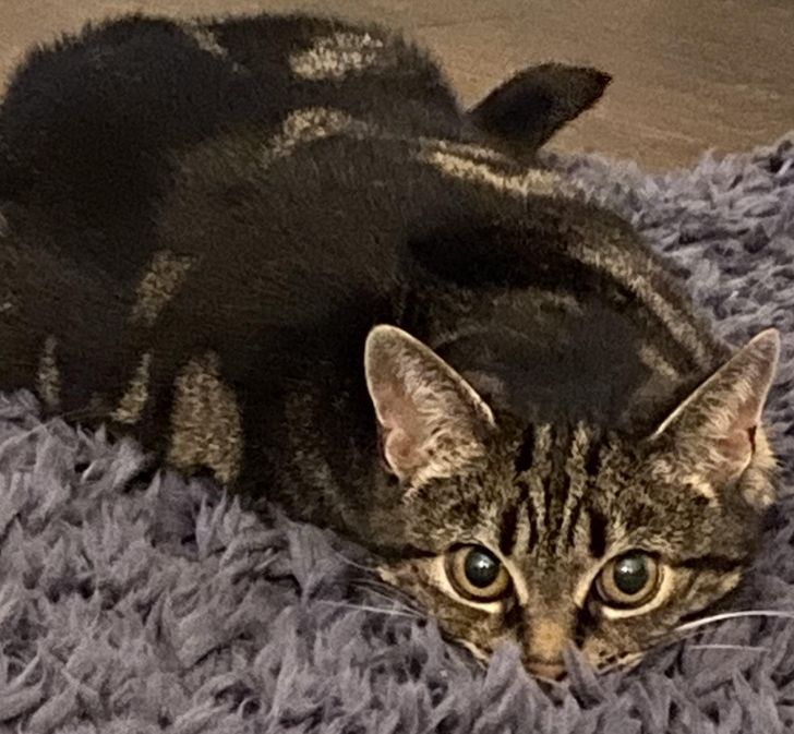 d5dc665a1099a2278c43dbaf1a