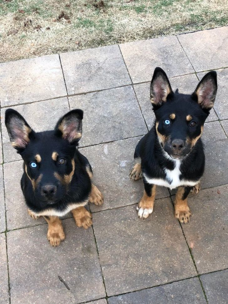 d5e75a5f1fbe35bb5c09c09192