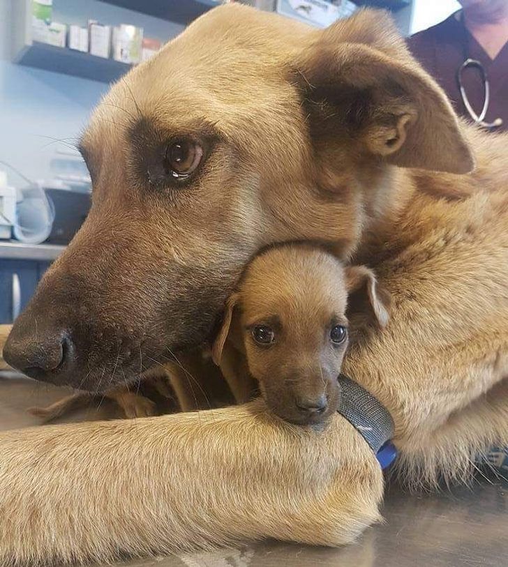 d5e94c5892af6f1594b7123f3a