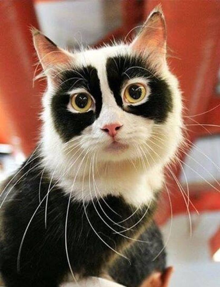 d5ebdd590ca430d0993f876b04