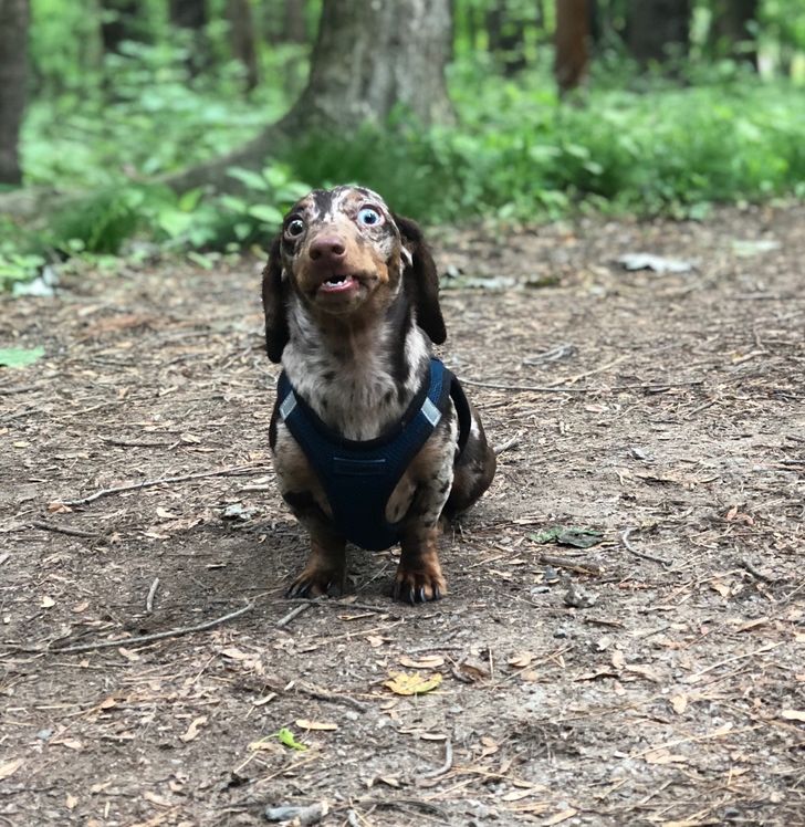 d5fbf954cf93c0e029952e640f