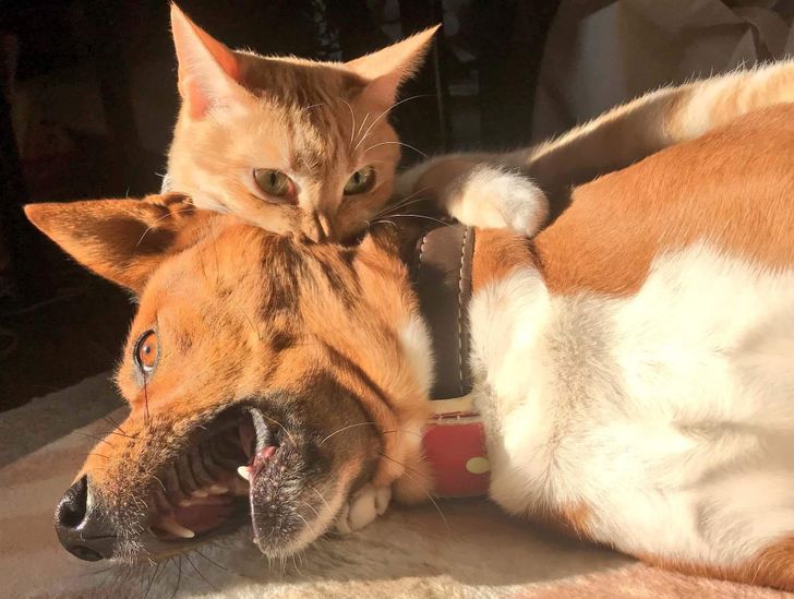 d5fd66541fae4a59a3bab019fa