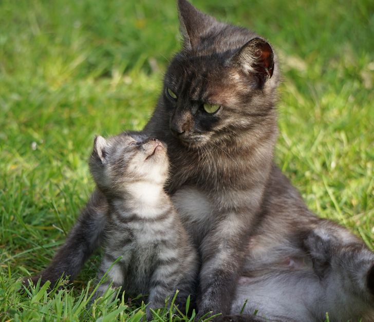 d601a45c1f9ecd2cd391ab20d8