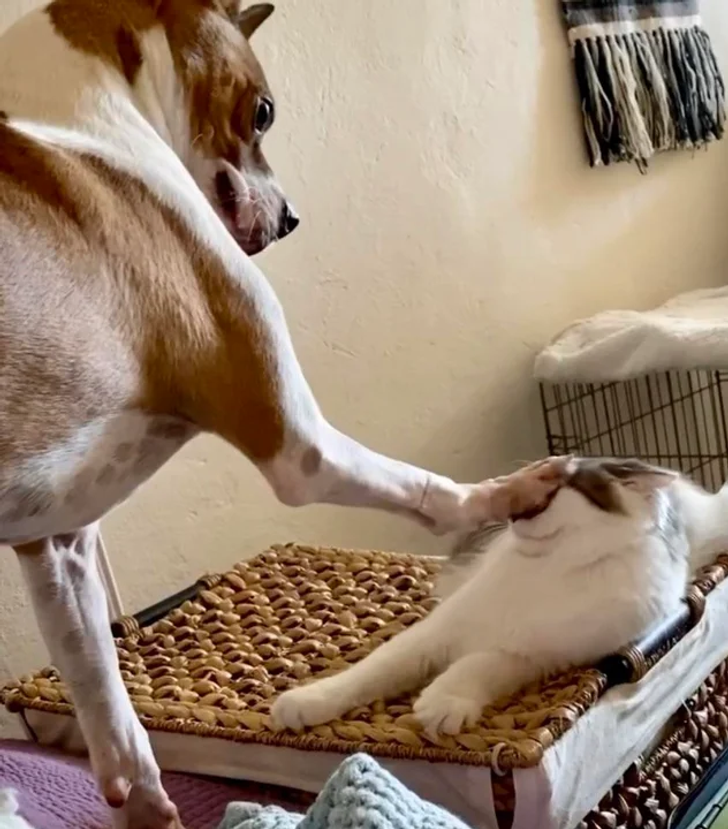 d60226594bb4a1f6f0aa781e1a d60226594bb4a1f6f0aa781e1a