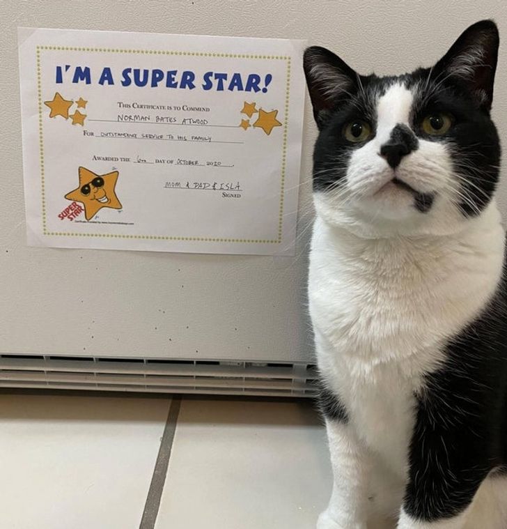 d6098d5c06a12d1c20bc372ff9