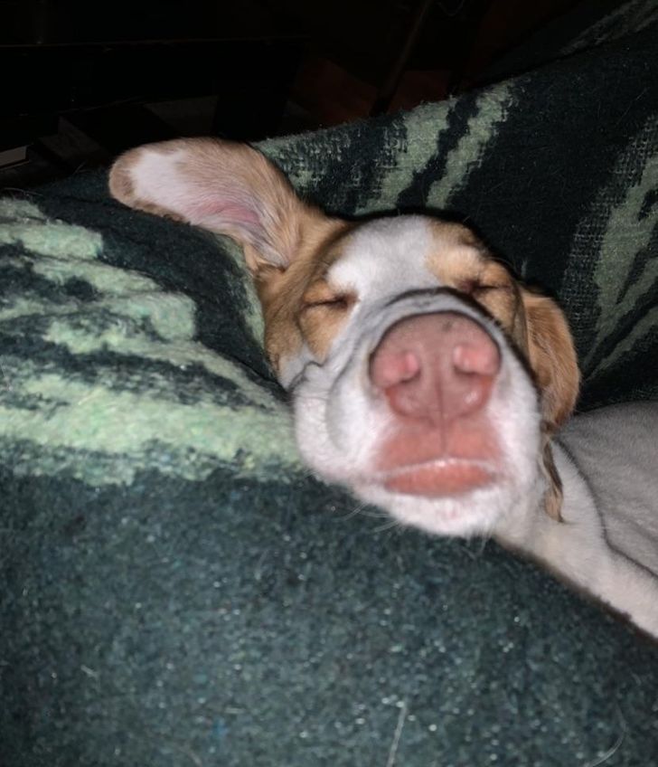 d60a2a5beeb8ab663c03d7ac7f