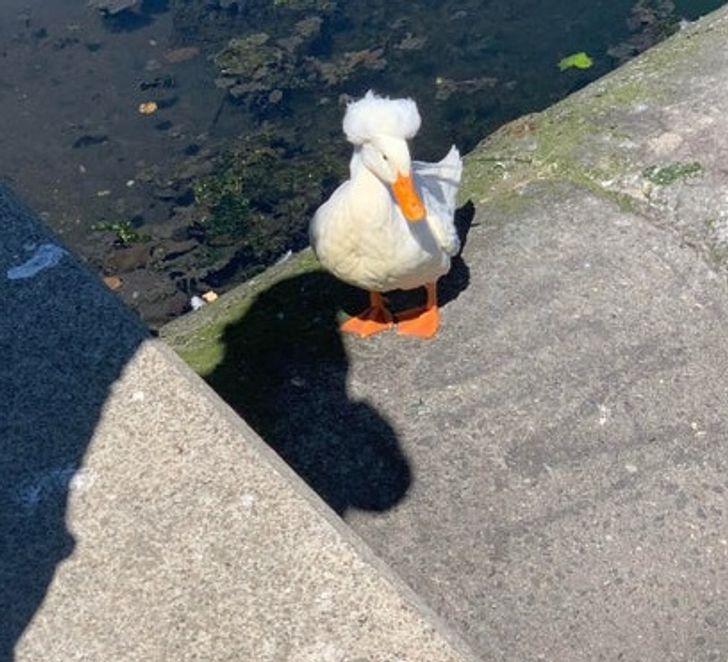 d6146556a59ec311415640dcd4