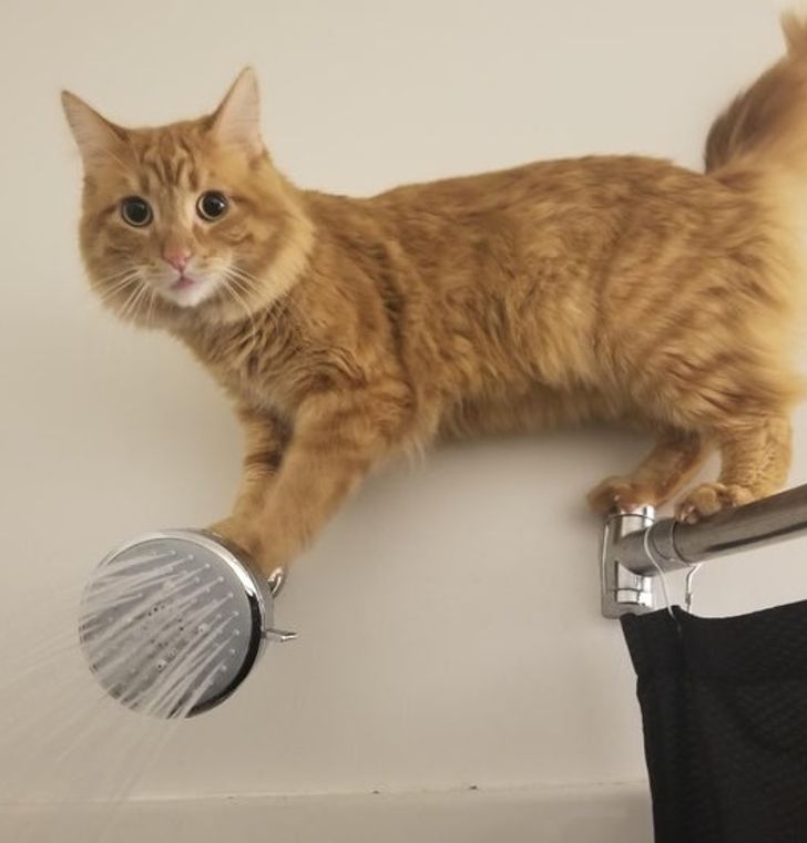 d616565933ba6f58d56f038f3a