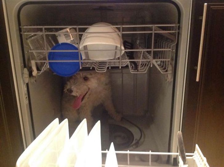 d6183259758bddd2f421a1156d