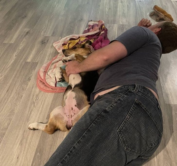 d6184a545d803cc42b758a9002