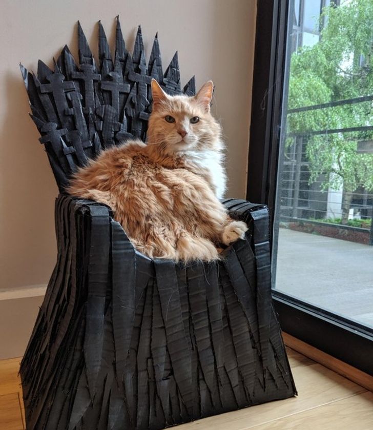 d621505a9ab069213165e11a1a